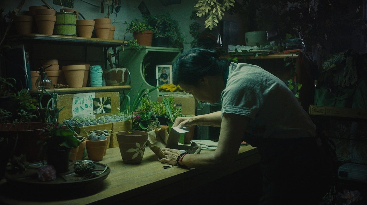 In Full Bloom: เมื่อหนอนเจาะรูดำ... แล้วความทรงจำของยายเซซิลจะรอดไหม?